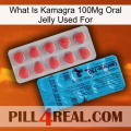 What Is Kamagra 100Mg Oral Jelly Used For new14